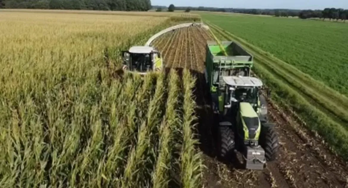 Luftaufnahme: Claas Jaguar Häcksler im Silomais mit Überladung in Transportgespann